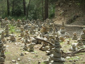 IMG_5824 (Medium)